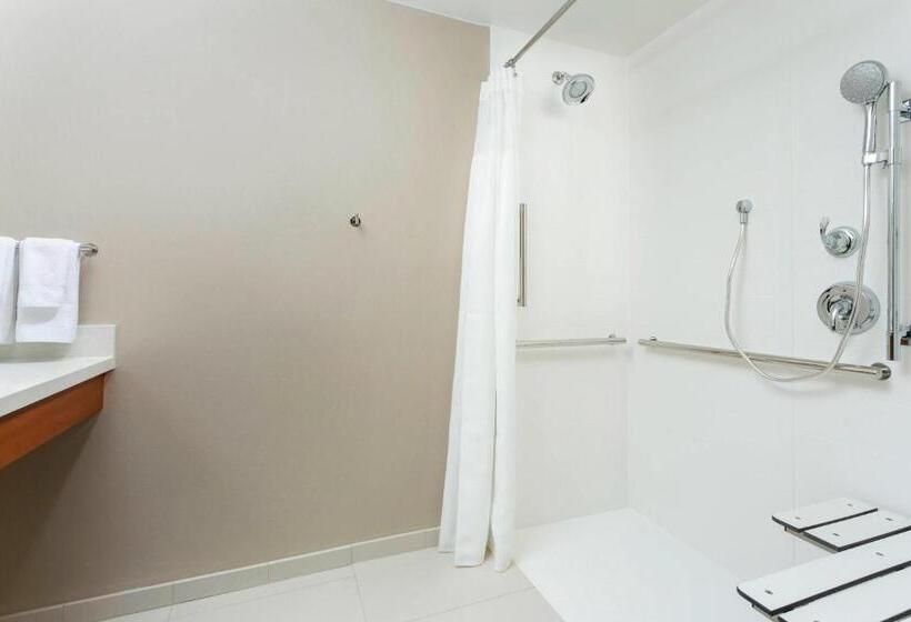 带大床的标准工作室, Springhill Suites By Marriott San Diego Mission Valley