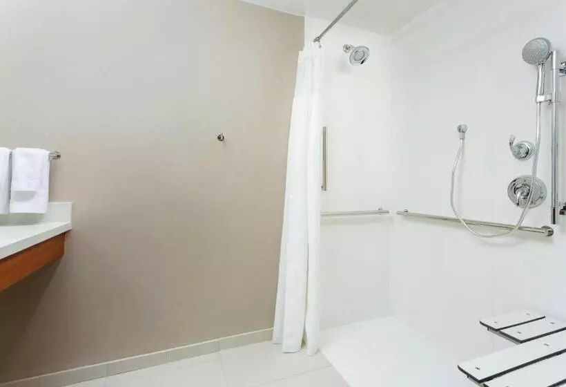 キングサイドベッドのスタンダードワンルーム, Springhill Suites By Marriott San Diego Mission Valley