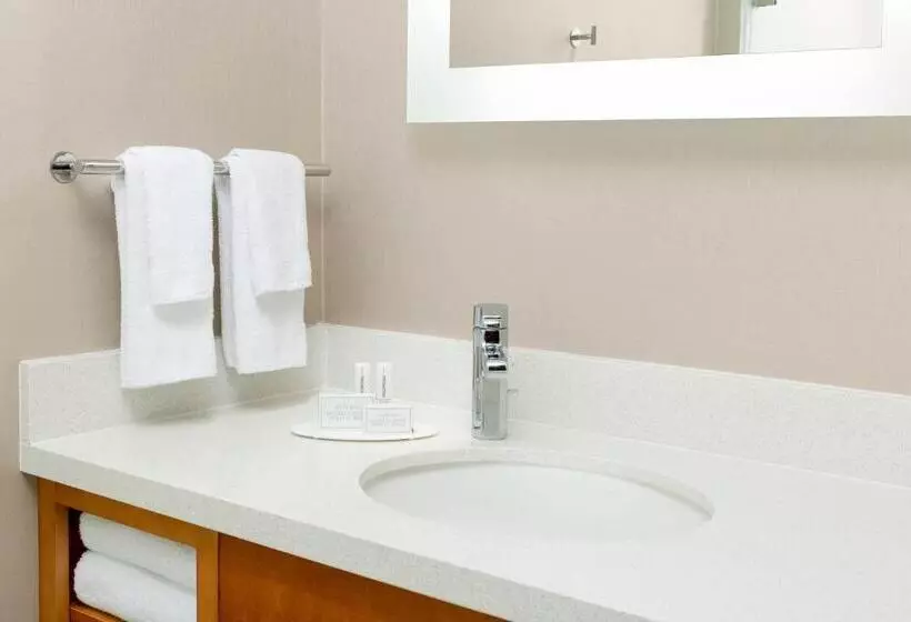 キングサイドベッドのスタンダードワンルーム, Springhill Suites By Marriott San Diego Mission Valley