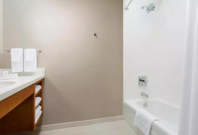 キングサイドベッドのスタンダードワンルーム, Springhill Suites By Marriott San Diego Mission Valley
