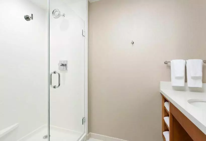 キングサイドベッドのスタンダードワンルーム, Springhill Suites By Marriott San Diego Mission Valley