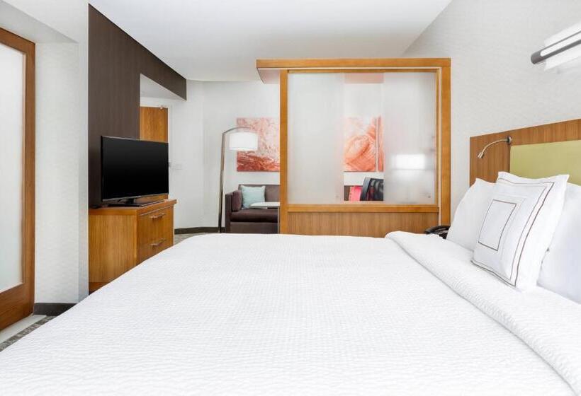 Студио Стандарт Кровать Кинг, Springhill Suites By Marriott San Diego Mission Valley