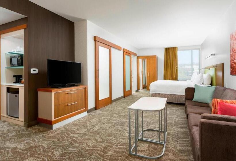 סטודיו סטנדרט, מיטה זוגית, Springhill Suites By Marriott San Diego Mission Valley