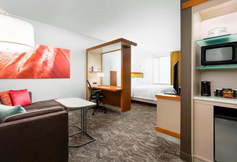 带大床的标准工作室, Springhill Suites By Marriott San Diego Mission Valley