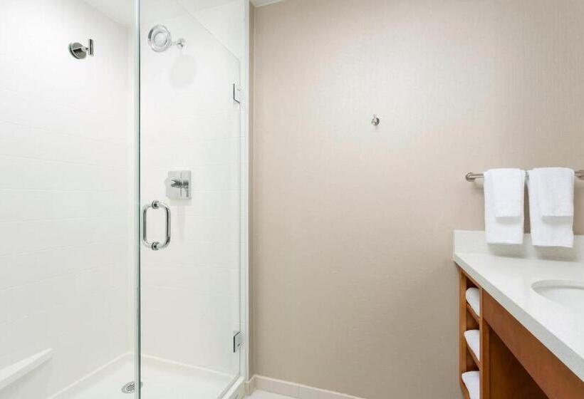 标准工作室, Springhill Suites By Marriott San Diego Mission Valley