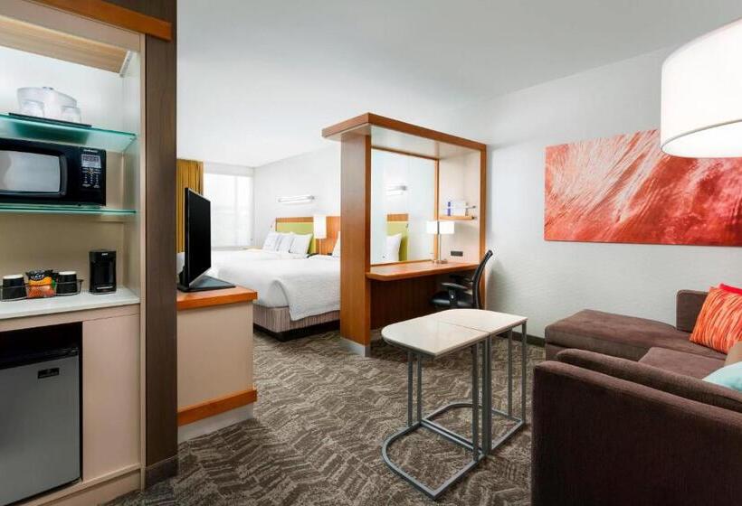 חדר סטודיו סטנדרד, Springhill Suites By Marriott San Diego Mission Valley