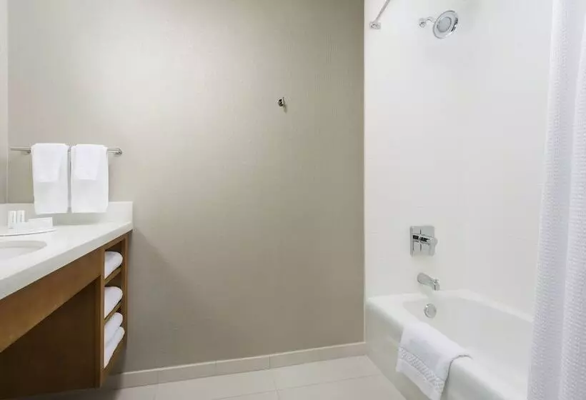 スタンダードスタジオ, Springhill Suites By Marriott San Diego Mission Valley