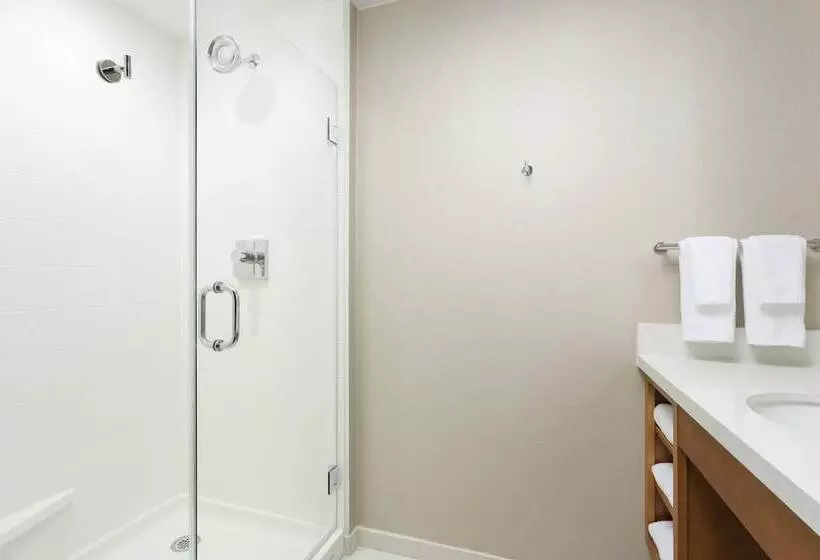 スタンダードスタジオ, Springhill Suites By Marriott San Diego Mission Valley