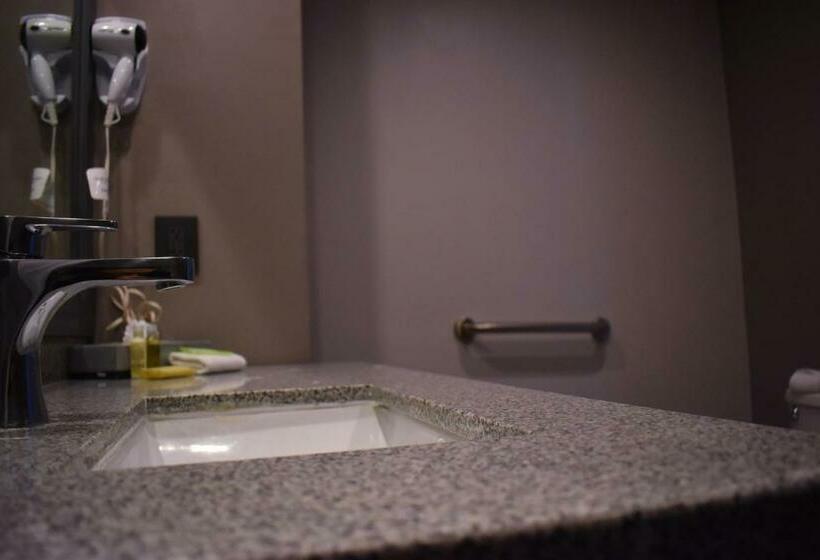 اتاق استاندارد برای معلولان, La Quinta By Wyndham Aguascalientes