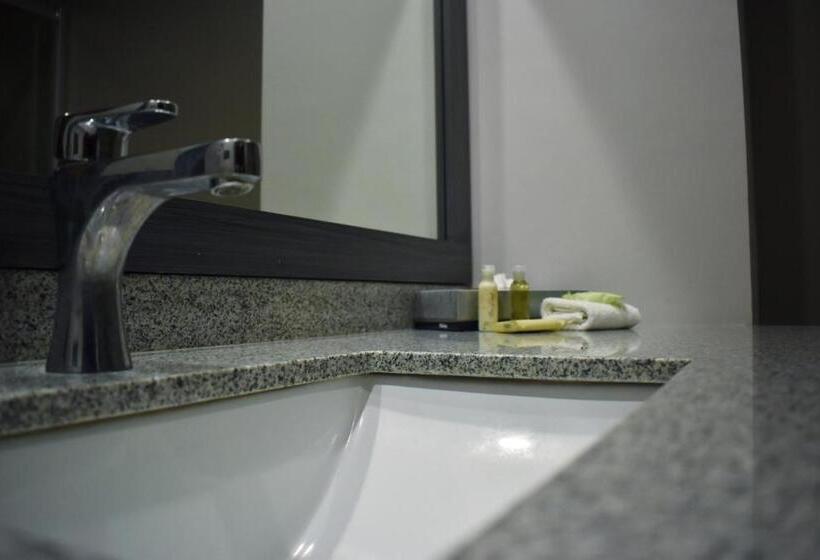 اتاق سوپریور با تخت بزرگ, La Quinta By Wyndham Aguascalientes