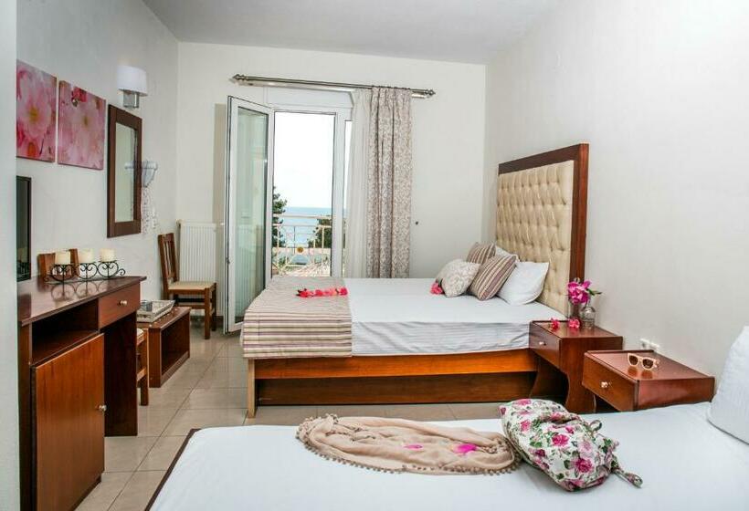 スタンダードルーム, Potos