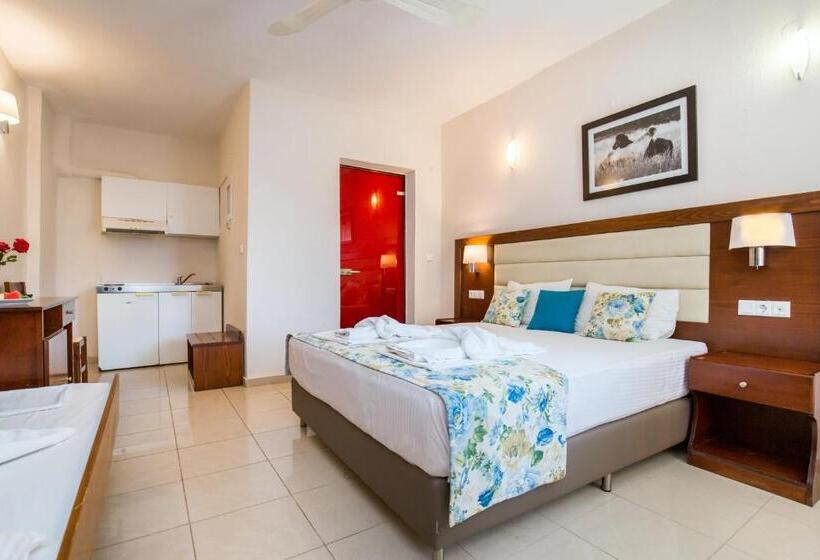 ガーデンビューのスタンダードワンルーム, Potos