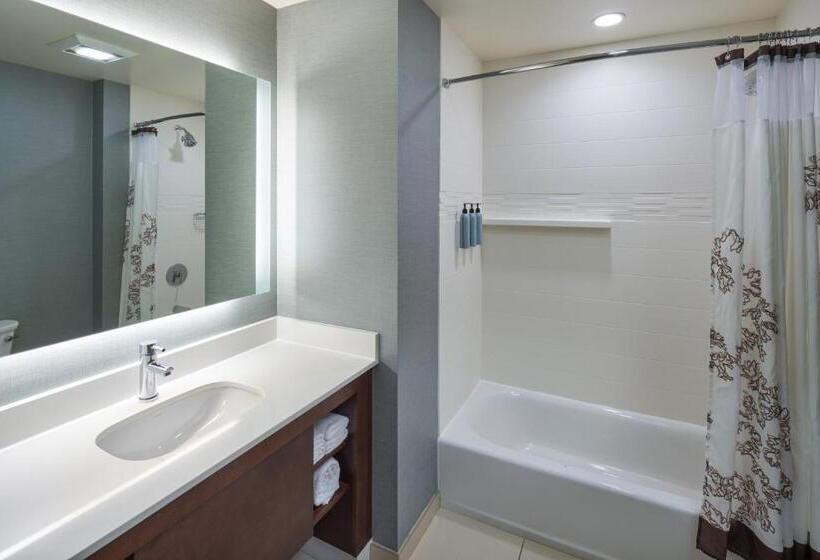 Люкс, Residence Inn By Marriott Philadelphia Airport