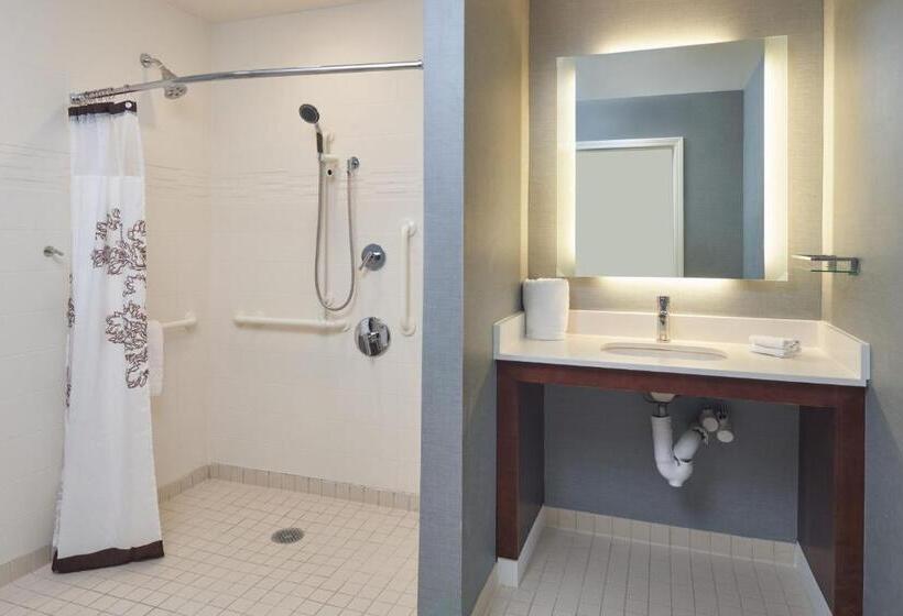 Студио Стандарт Кровать Кинг, Residence Inn By Marriott Philadelphia Airport