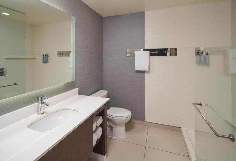 Студио Стандарт Кровать Кинг, Residence Inn By Marriott Philadelphia Airport