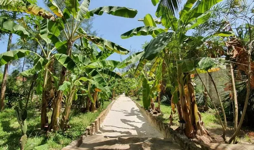 اتاق استاندارد با بالکن, Bahati Villa