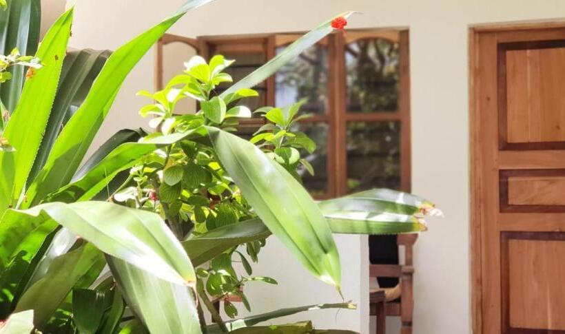 标准三人间, Bahati Villa