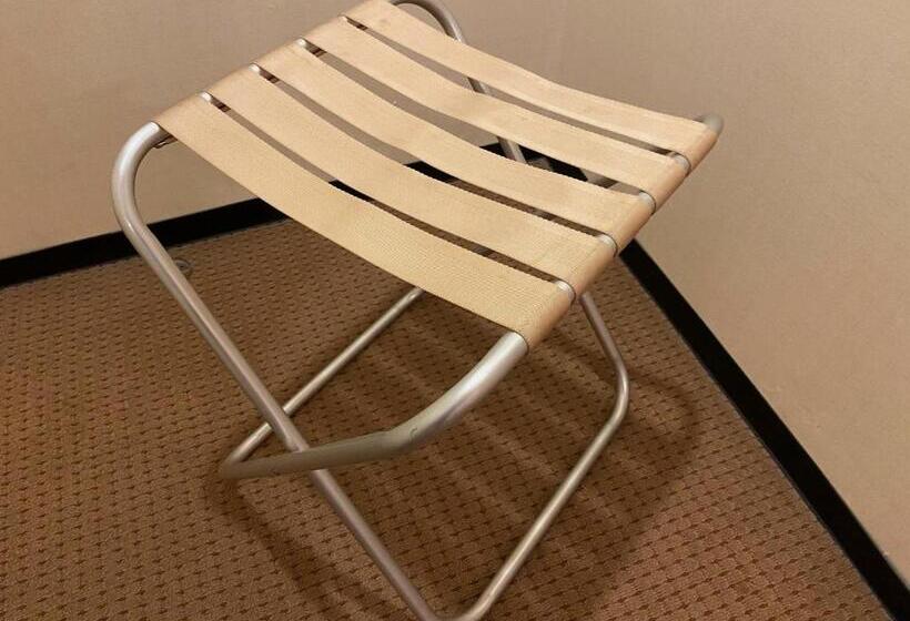 غرفة قياسية, Oita Regal