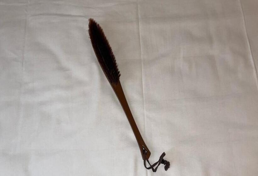 غرفة قياسية فردية, Oita Regal