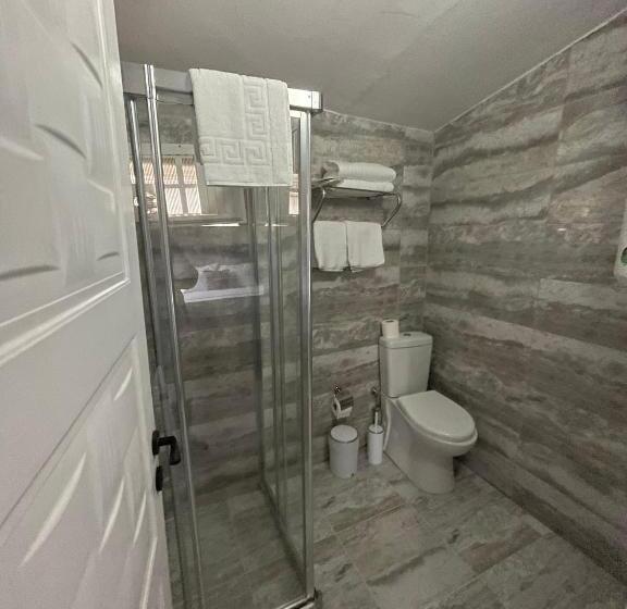 اتاق اکونومی, Oldmile Palace