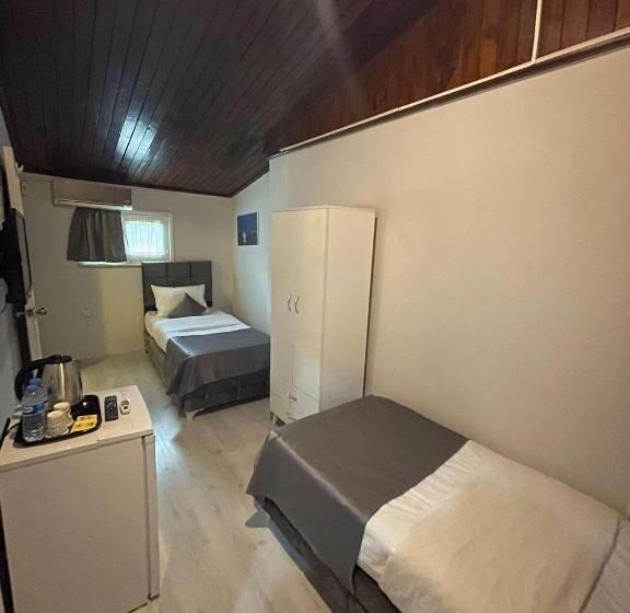 اتاق اکونومی, Oldmile Palace