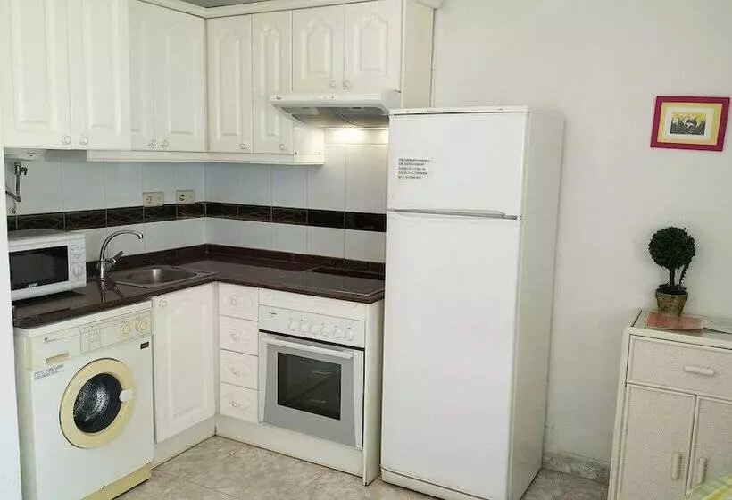 １ベッドルームアパートメント, Apartamentos Casablanca 3000