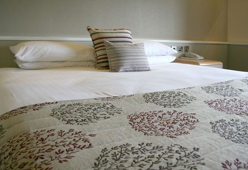 スタンダードルーム, Damon’s