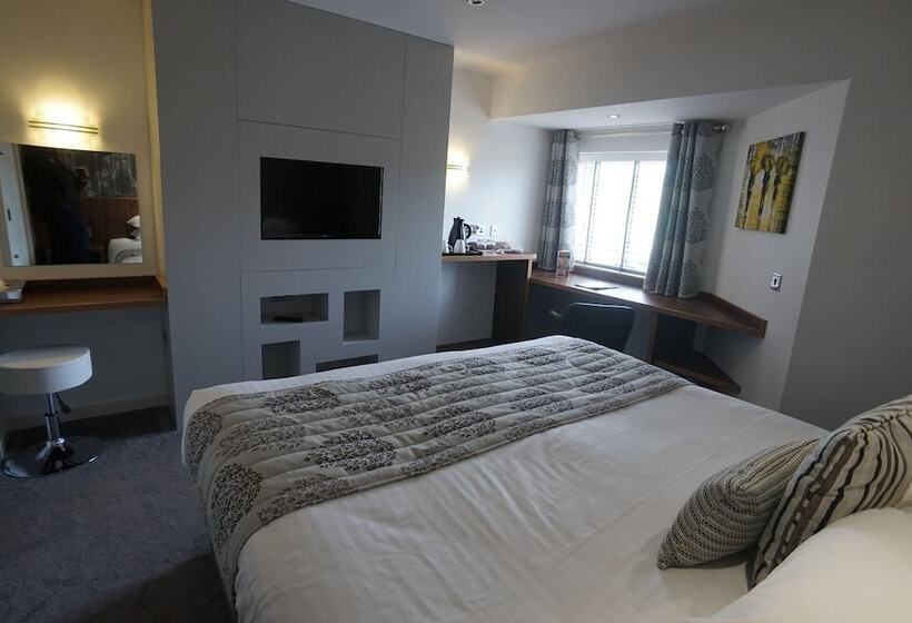 デラックスルーム, Damon’s