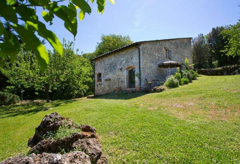 Люкс Повышенной Комфортности, Novelleto