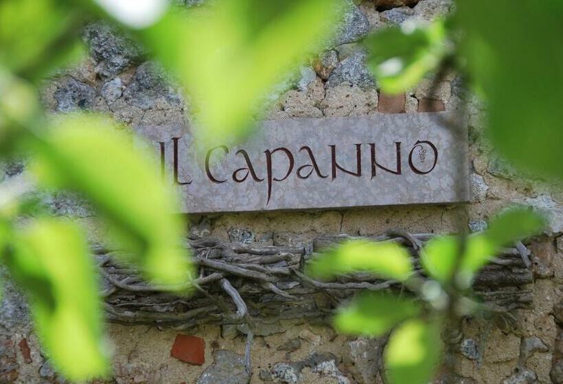 Люкс Повышенной Комфортности, Novelleto