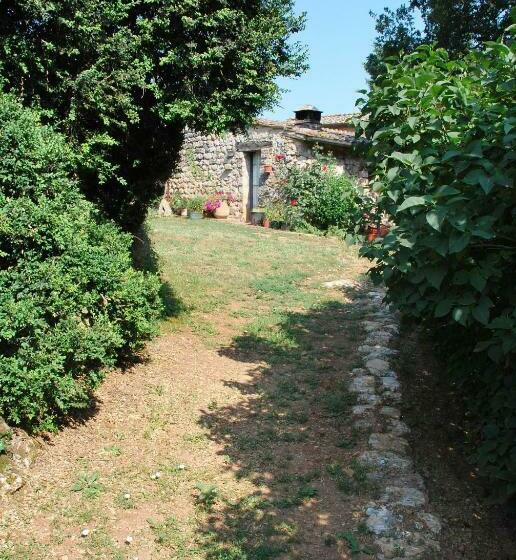 Номер Стандарт, Novelleto