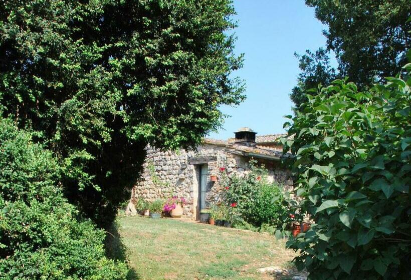 Номер Стандарт, Novelleto