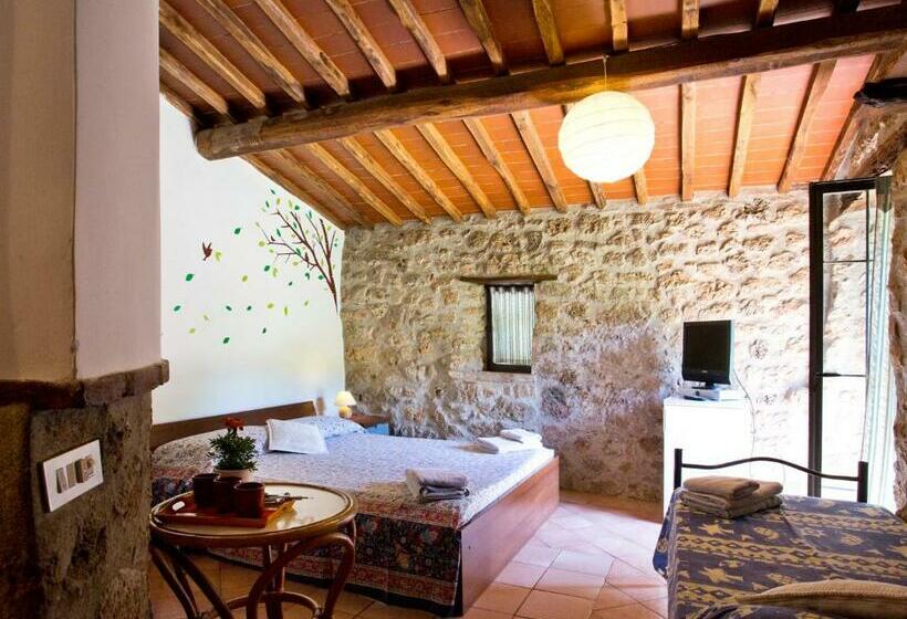 Номер Стандарт, Novelleto