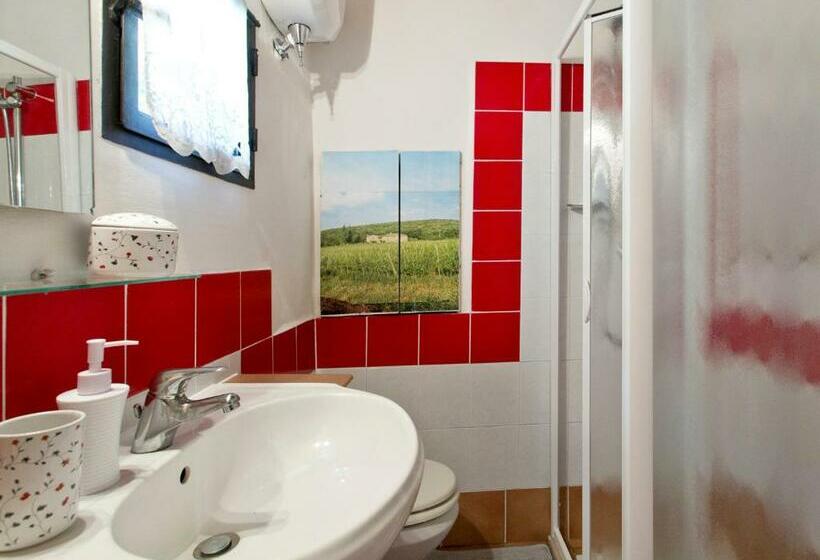 Номер Стандарт, Novelleto