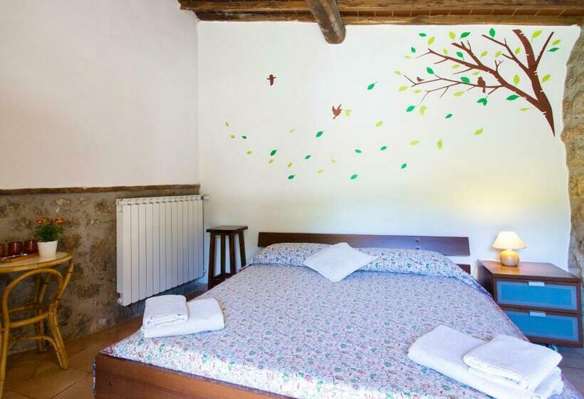 Номер Стандарт, Novelleto