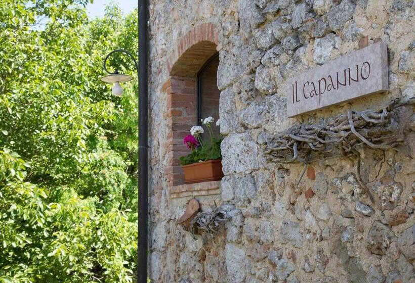 Люкс Повышенной Комфортности, Novelleto