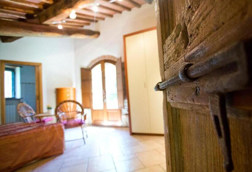 Люкс Повышенной Комфортности, Novelleto