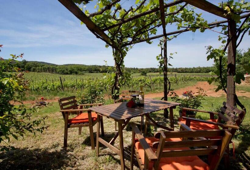 Апартаменты 1 Спальня, Novelleto