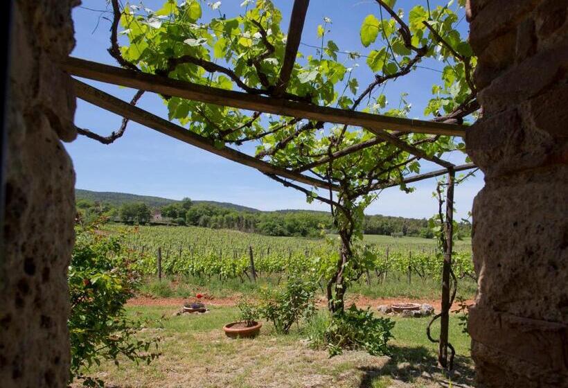 Апартаменты 1 Спальня, Novelleto