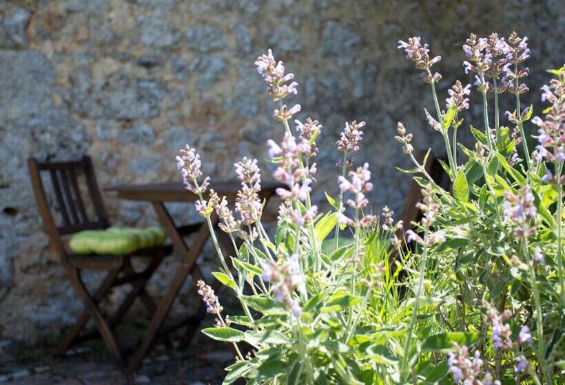 Люкс Повышенной Комфортности, Novelleto