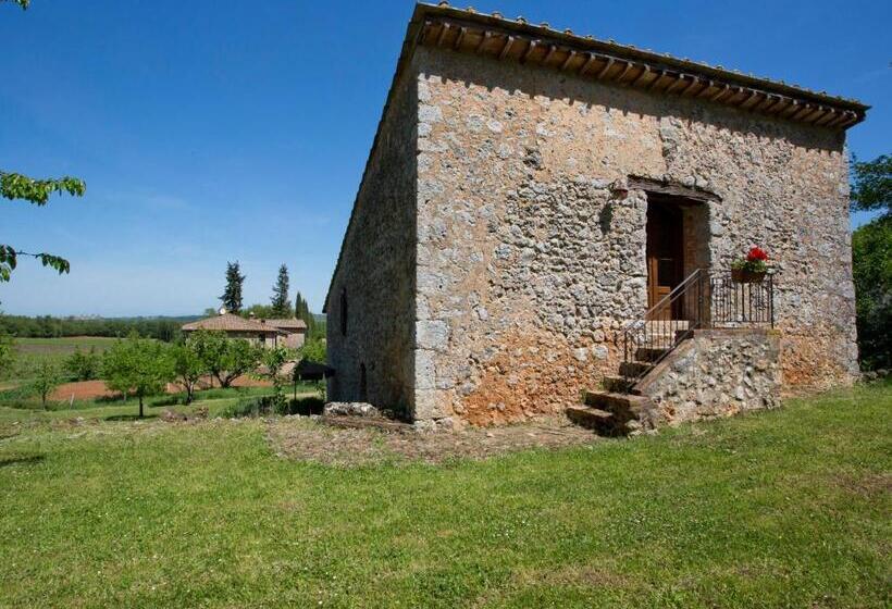 Люкс Повышенной Комфортности, Novelleto