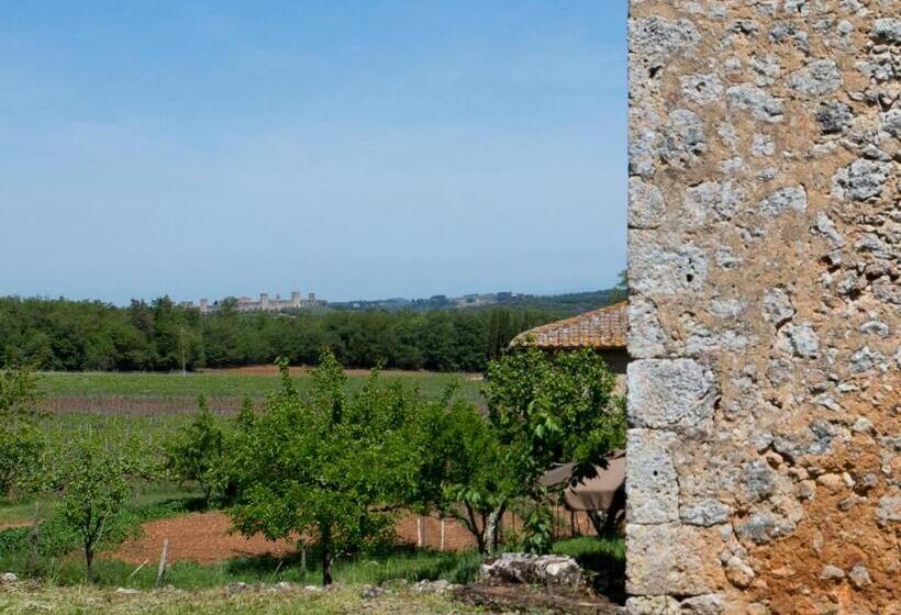 Люкс Повышенной Комфортности, Novelleto