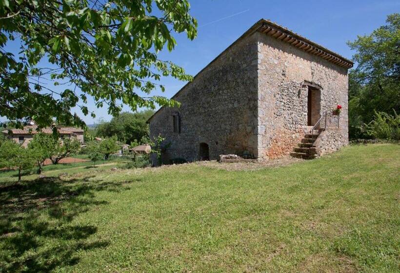 Люкс Повышенной Комфортности, Novelleto