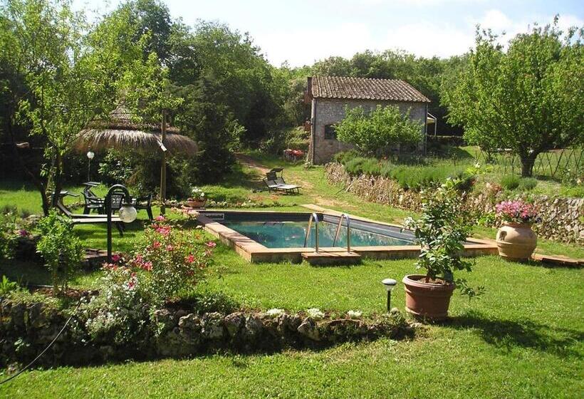 Люкс Повышенной Комфортности, Novelleto