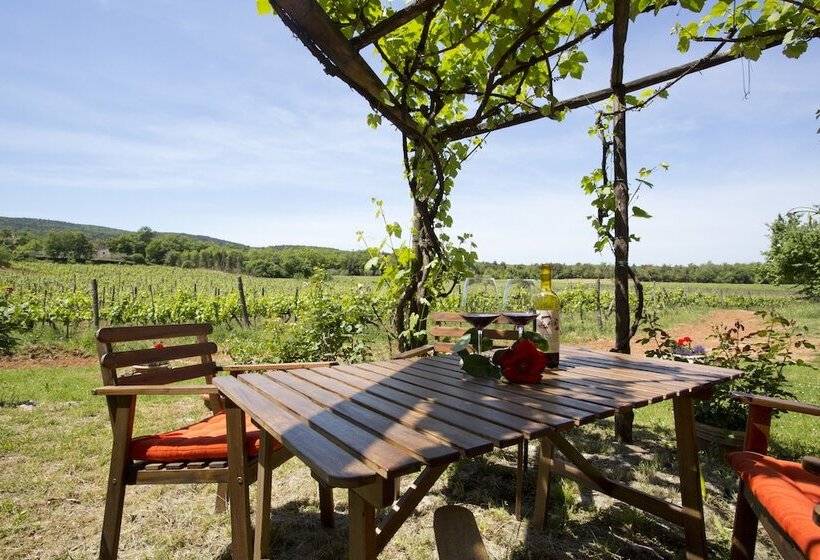 Апартаменты 1 Спальня, Novelleto