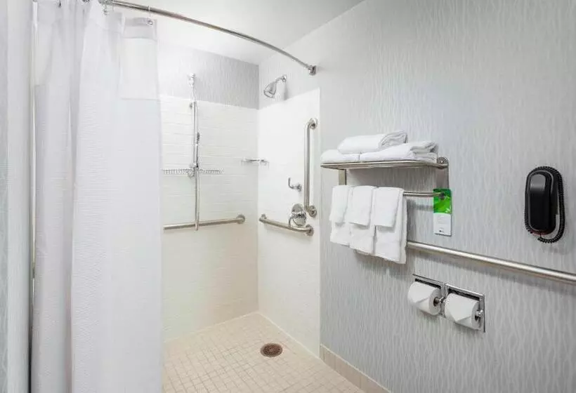 キングサイドベッドのスタンダードワンルーム, Springhill Suites Chicago Downtown/river North