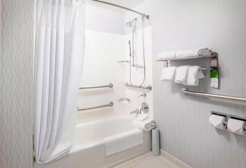 キングサイドベッドのスタンダードワンルーム, Springhill Suites Chicago Downtown/river North