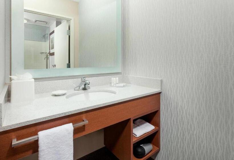 带大床的标准工作室, Springhill Suites Chicago Downtown/river North