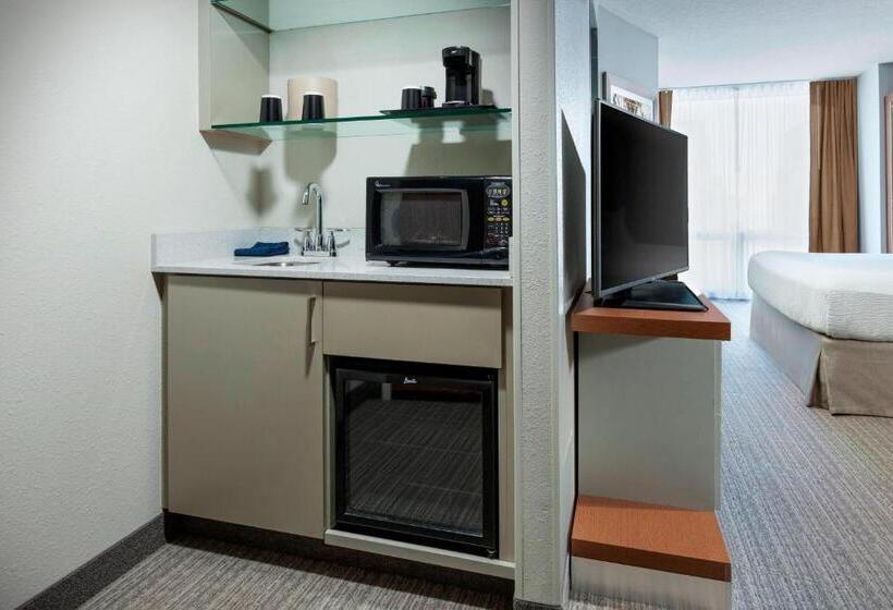 带大床的标准工作室, Springhill Suites Chicago Downtown/river North