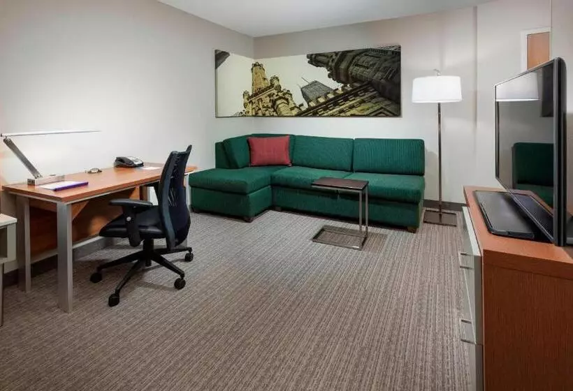 シティビューのスタンダードスタジオ, Springhill Suites Chicago Downtown/river North